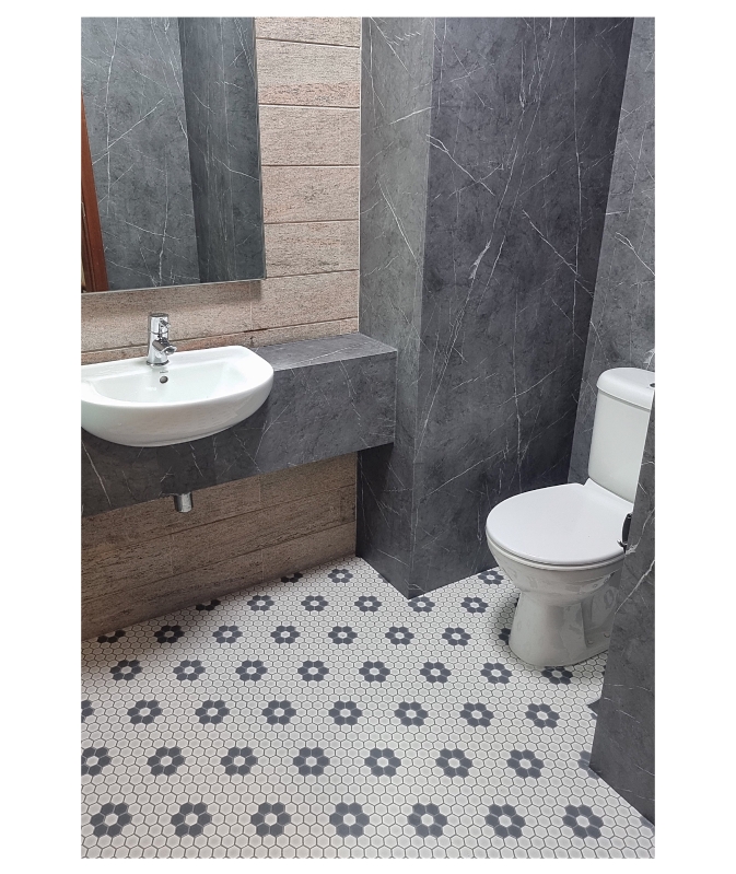 beautiful transforming with Honpo team